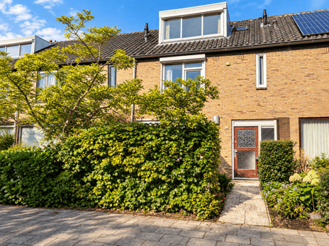 Sinjeur Semeynsstraat thumbnail