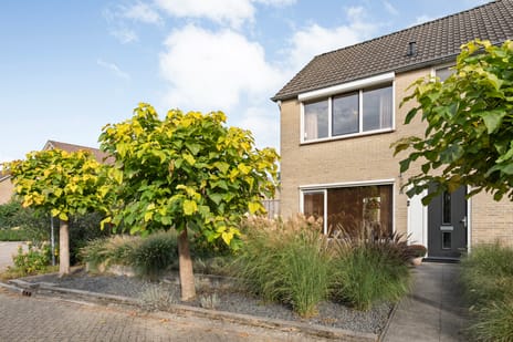 Wijnruitstraat thumbnail