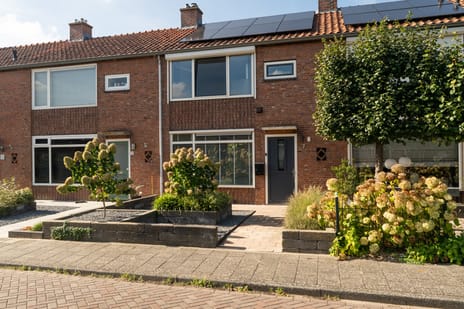 Pieter Maasstraat thumbnail
