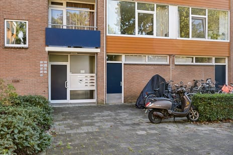 Lingestraat thumbnail
