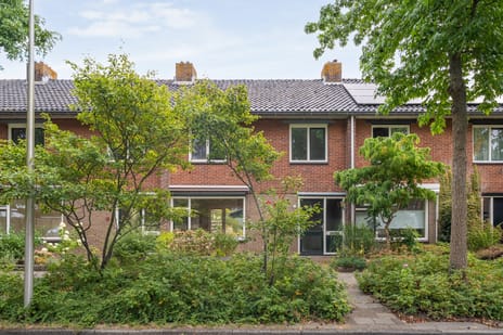 Prinses Irenestraat thumbnail