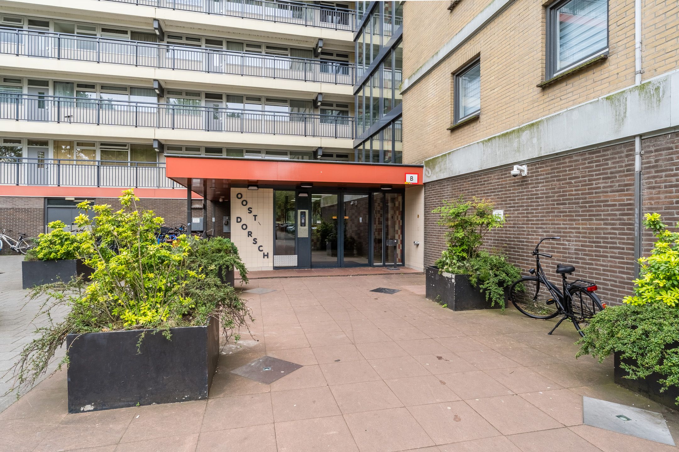 Photo 9 of Oost-Dorsch 17
