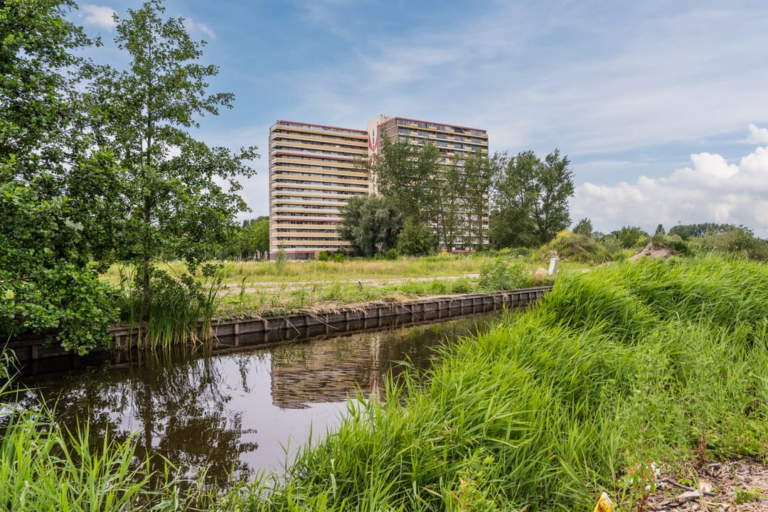 Photo 38 of Oost-Dorsch 17