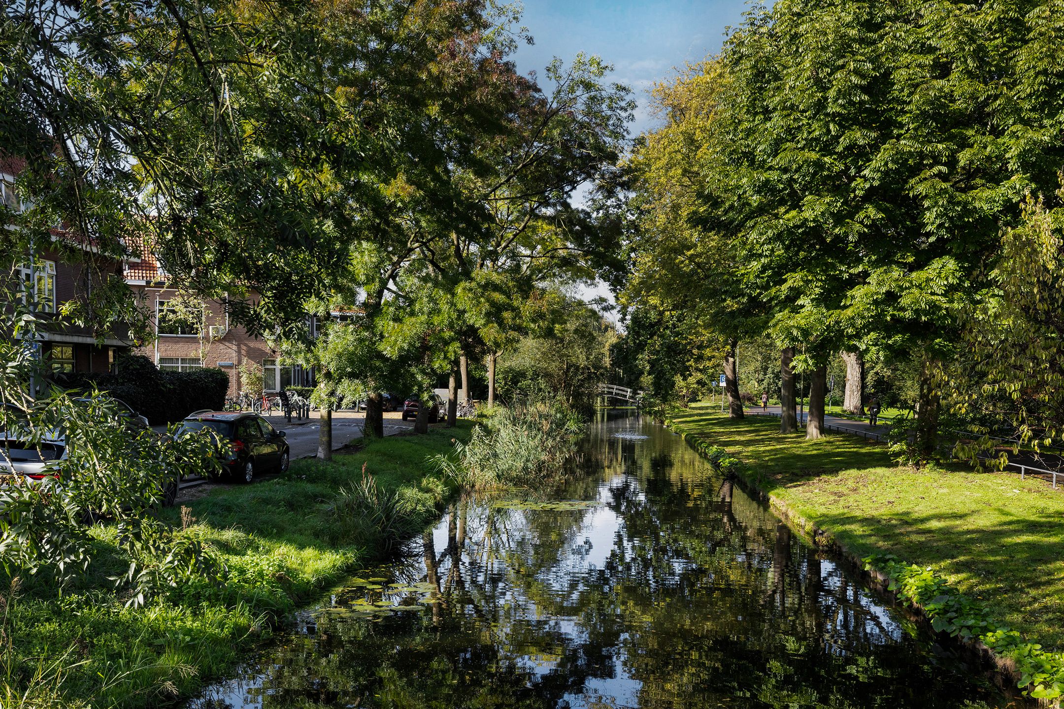 Foto 42 van Erasmussingel 48-B
