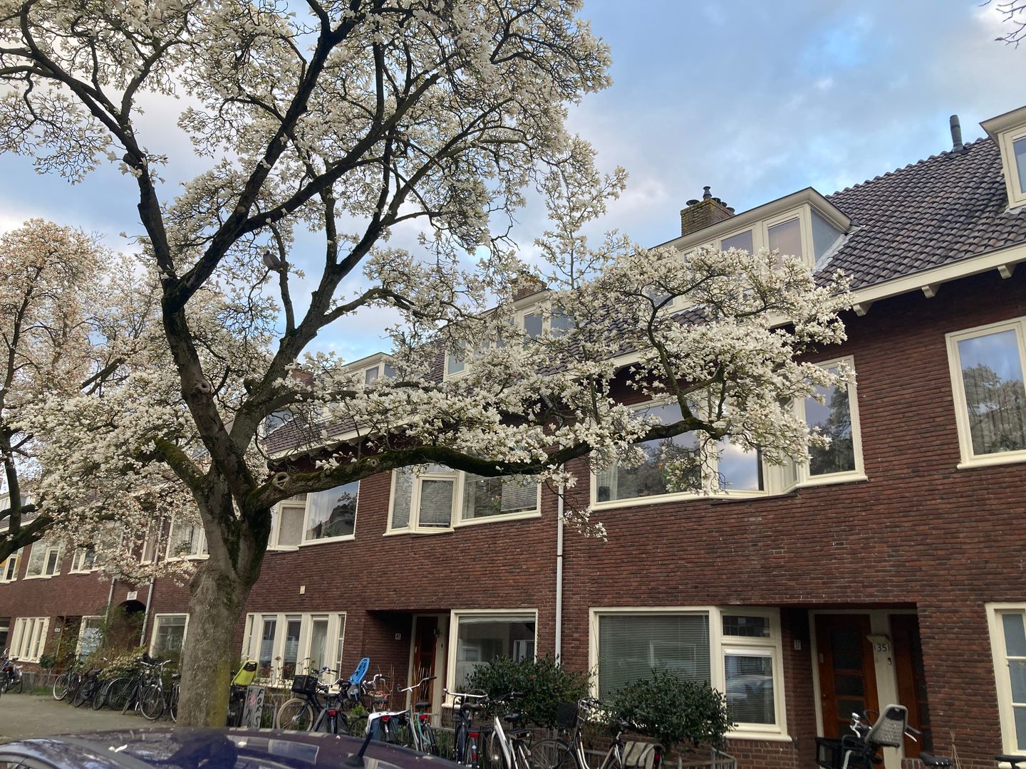 Photo 29 of Van Koetsveldstraat 35
