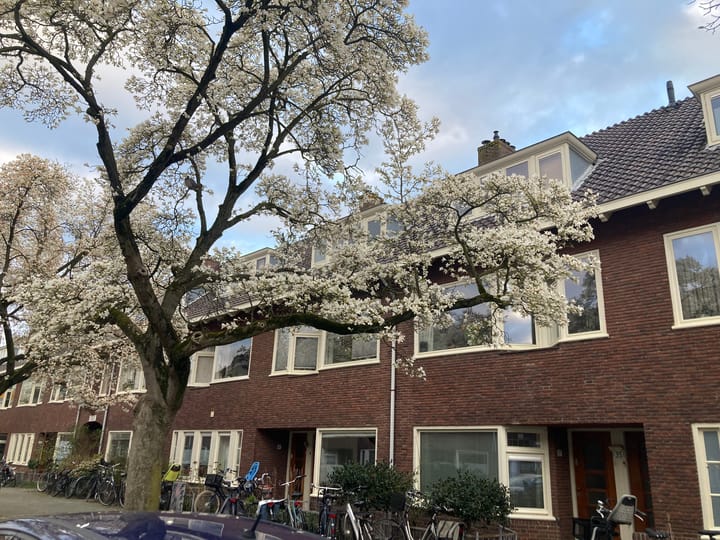 Appartement te koop: Van Koetsveldstraat 35, Utrecht