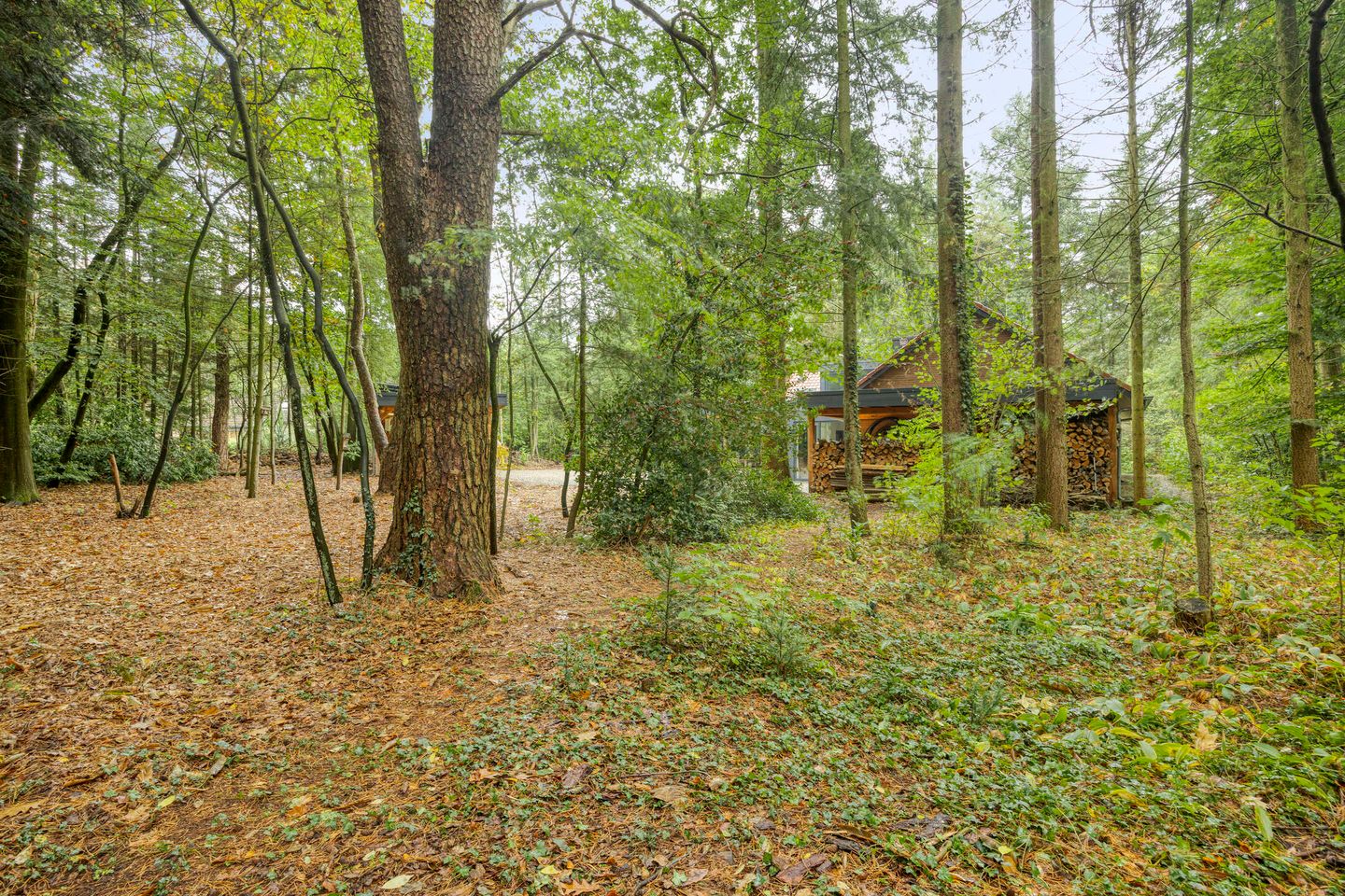 Photo 49 of Dennenlaan 7