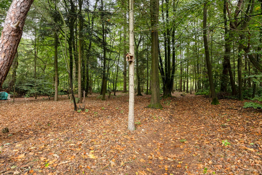 Photo 47 of Dennenlaan 7