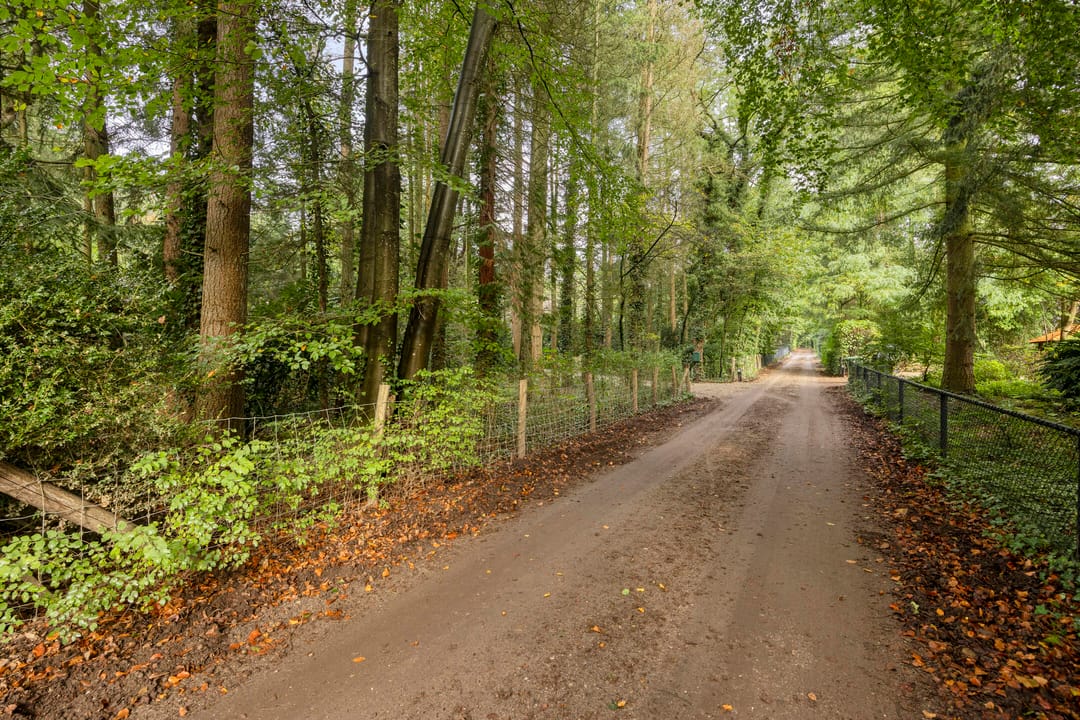 Photo 52 of Dennenlaan 7