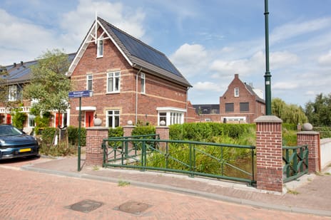 Blomsingel thumbnail