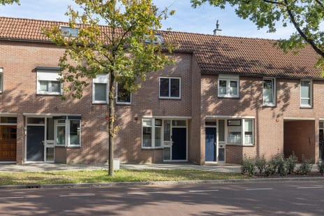 Bleekstraat thumbnail