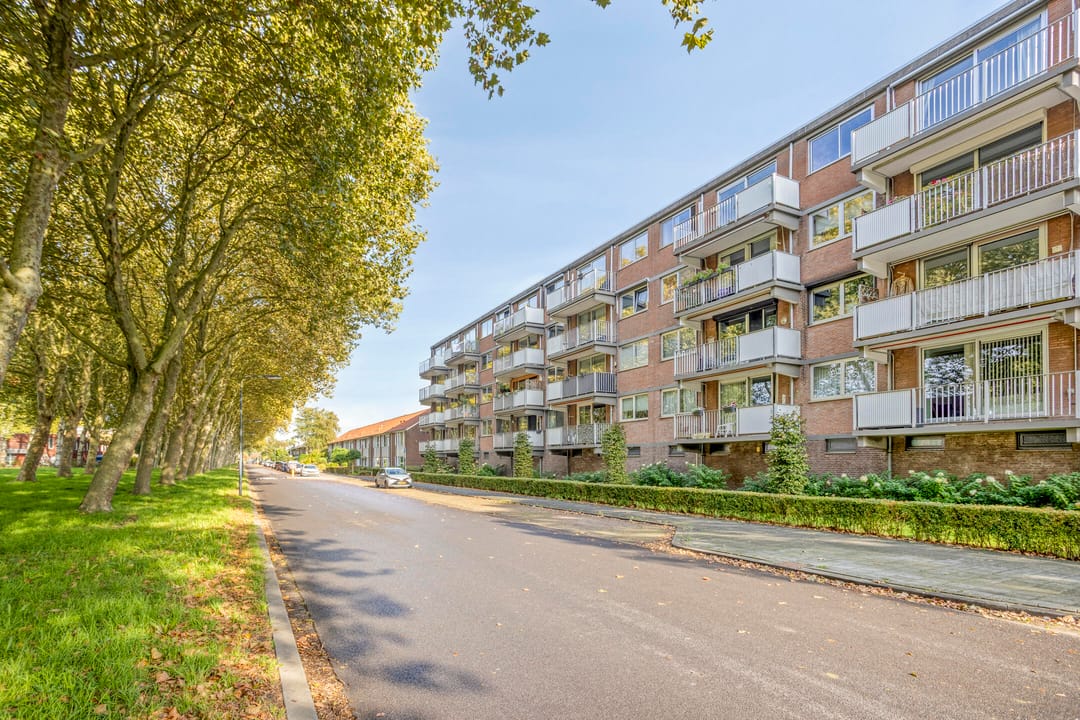 Foto 1 van Rijnauwenstraat 41