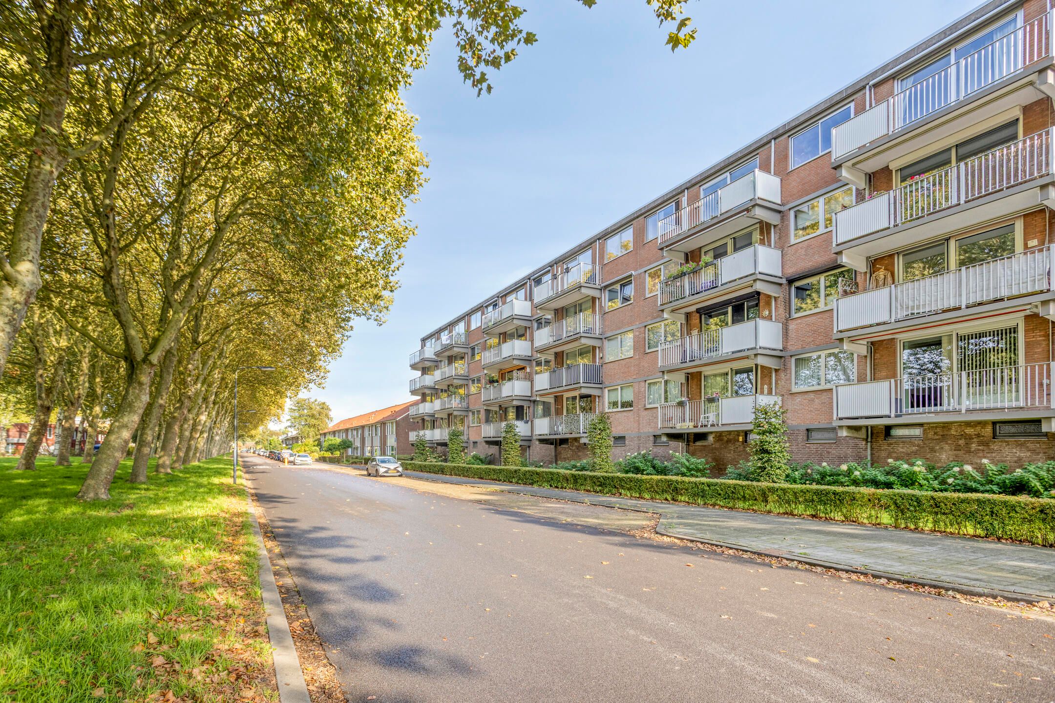 Rijnauwenstraat 41 
