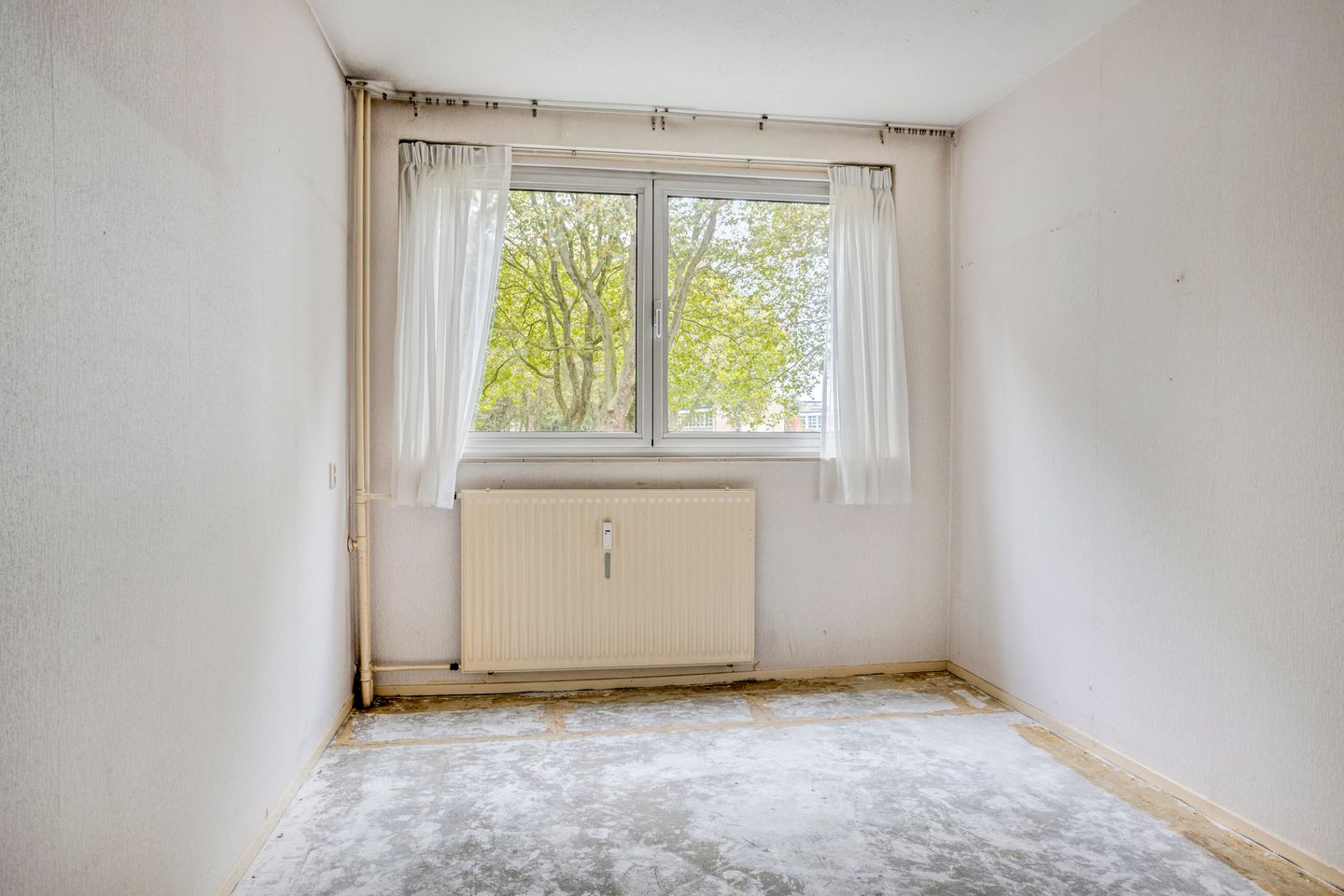 Foto 19 van Rijnauwenstraat 41