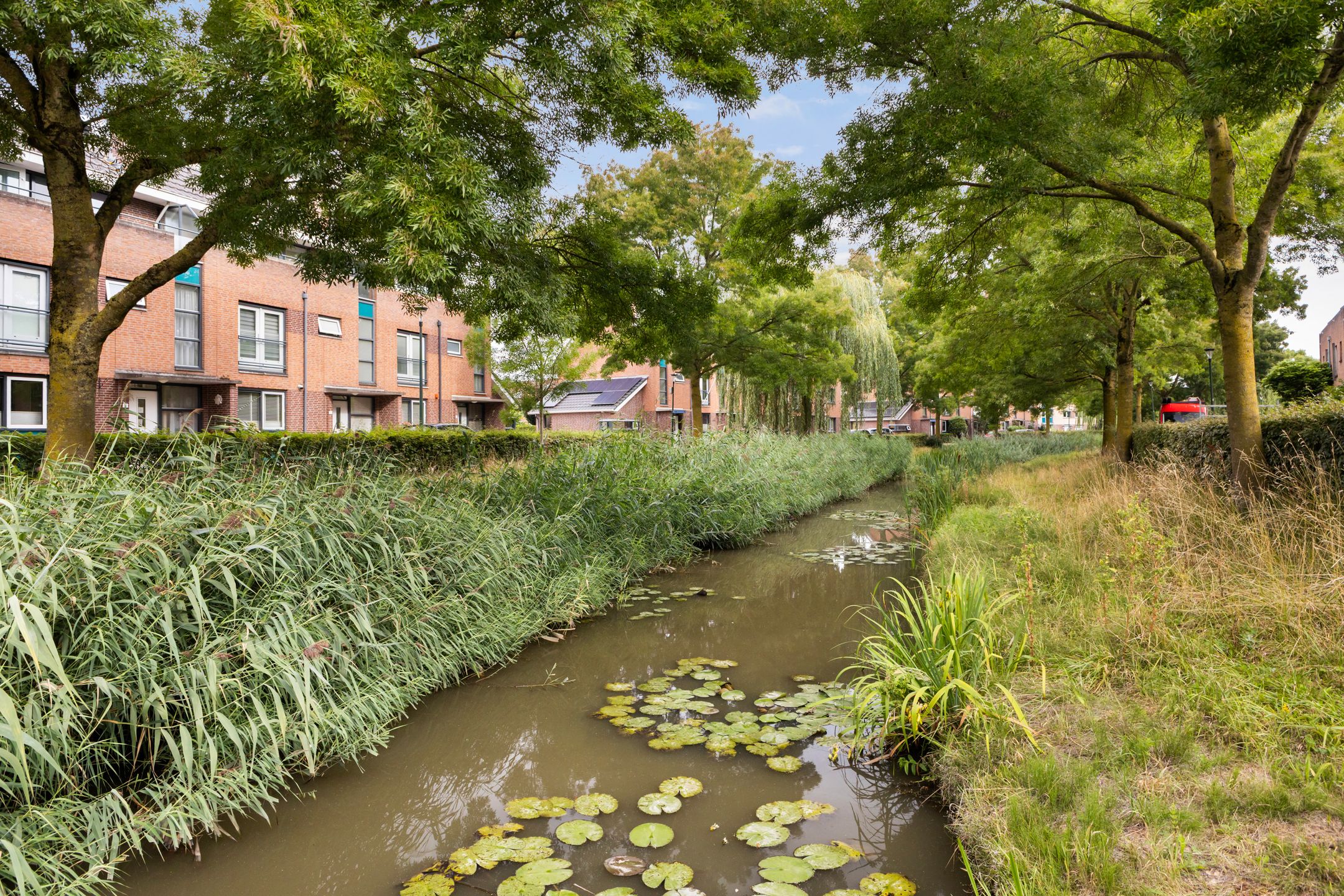 Photo 9 of Vijverwater 7