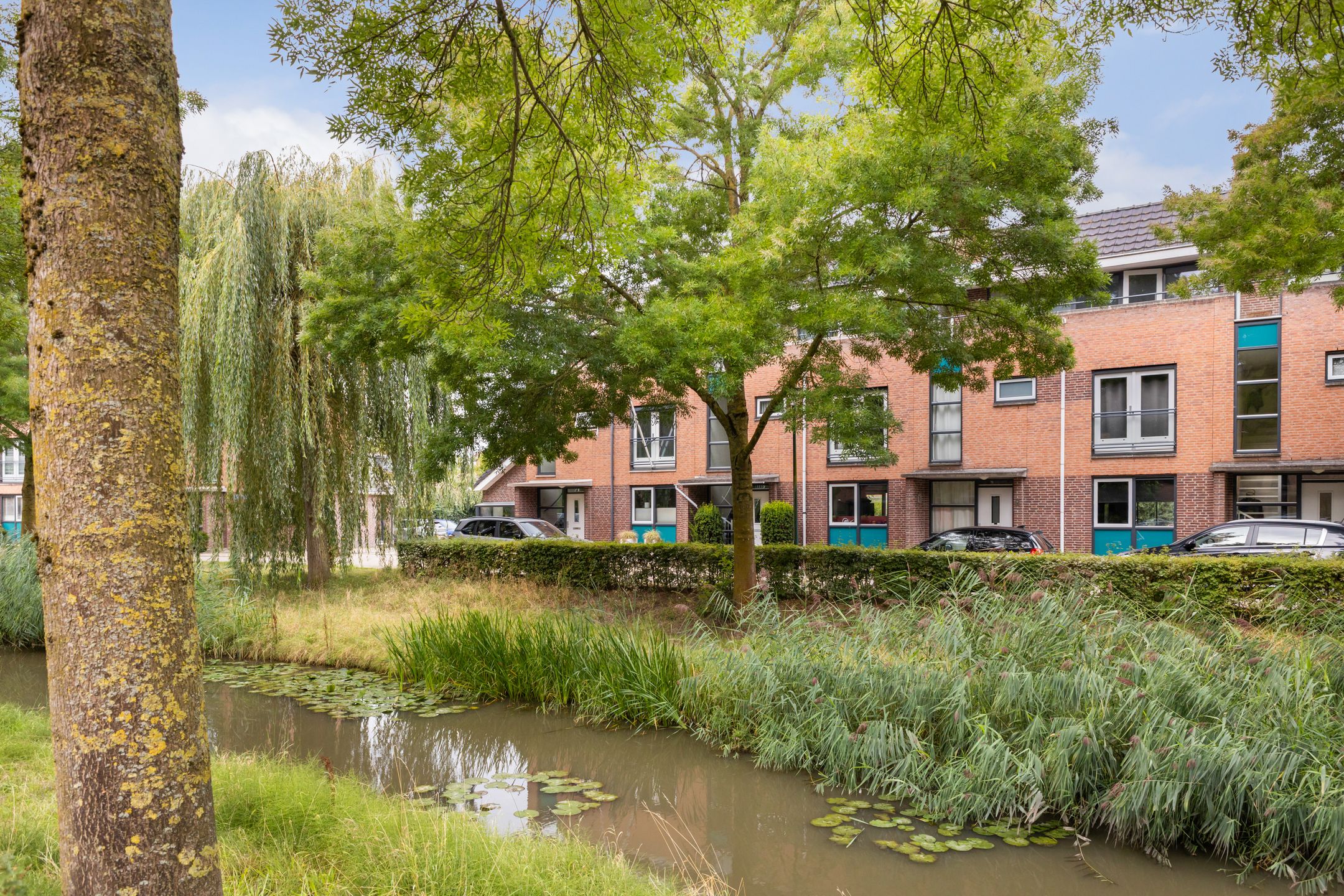 Photo 6 of Vijverwater 7