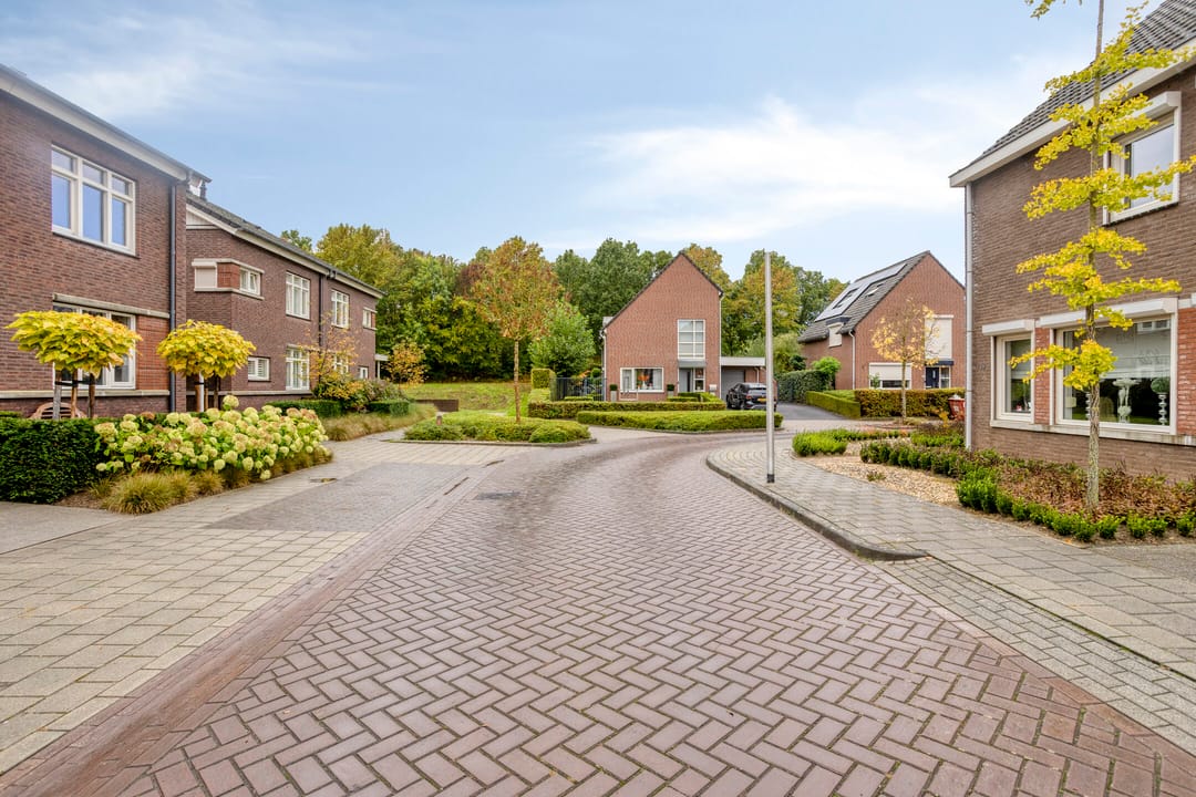Photo 31 of Boskriek 19