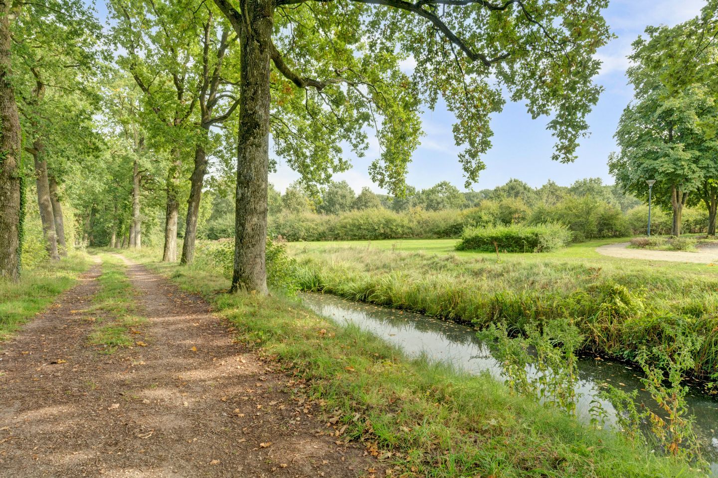 Foto 40 van Willigen 13