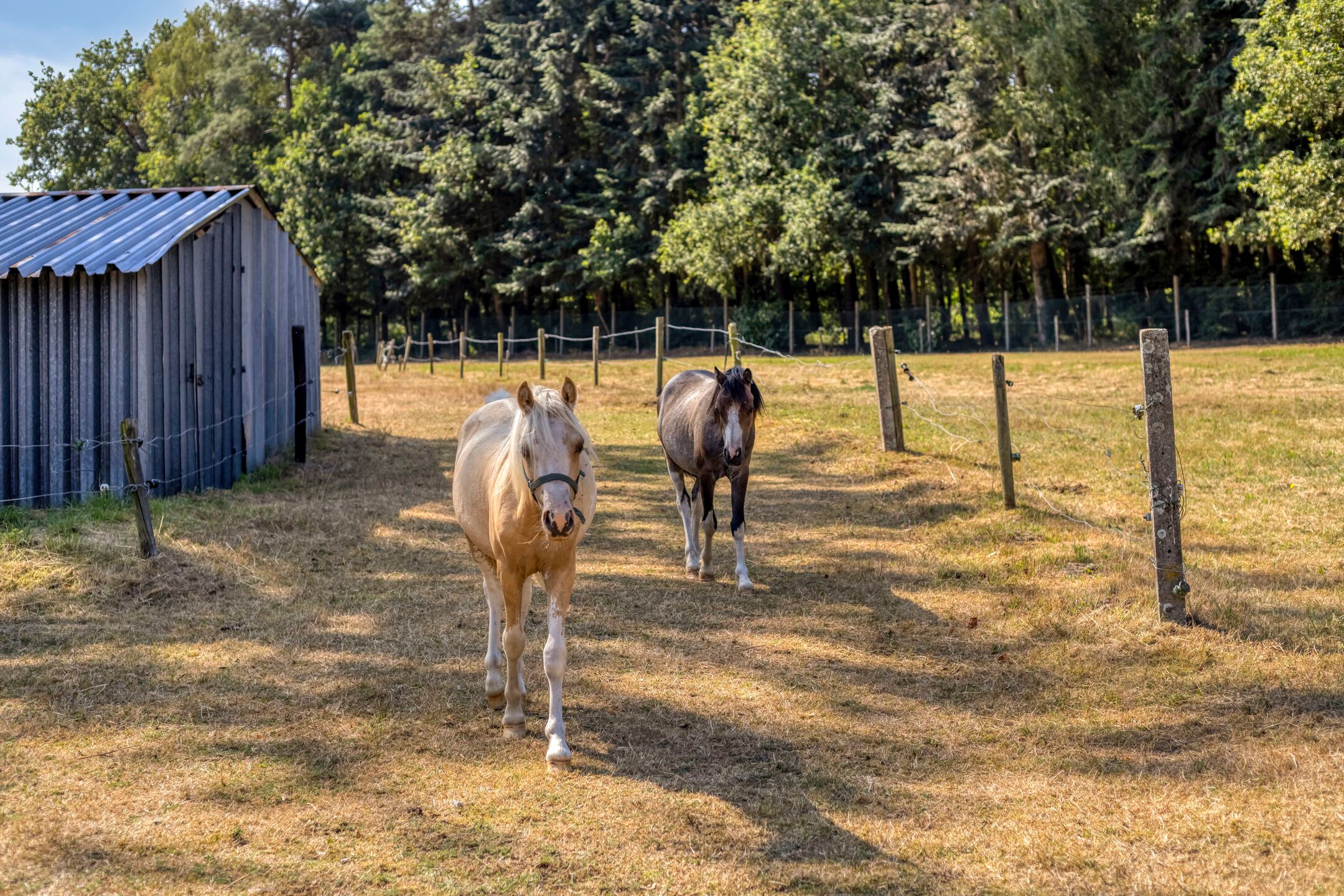 Foto 48 van Bisschop Rythoviusdreef 8