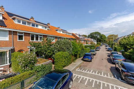 Leeuweriklaan thumbnail