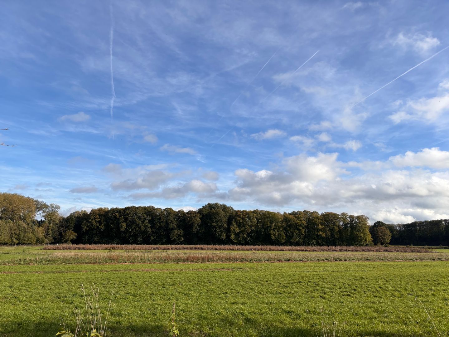 Haeren - Voerendaal - Afbeelding 3