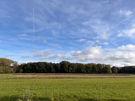 Bekijk foto's