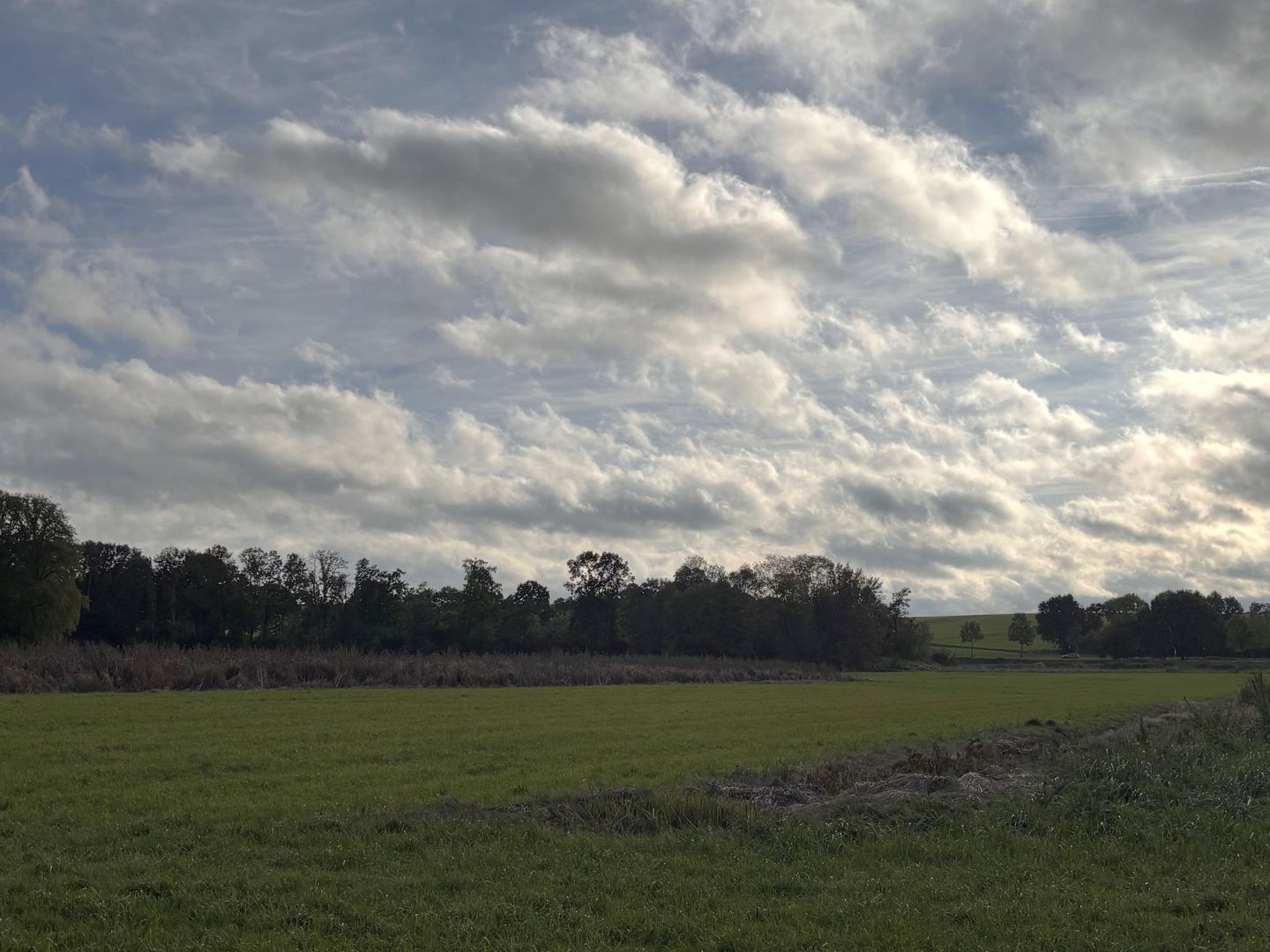 Haeren - Voerendaal - Afbeelding 5