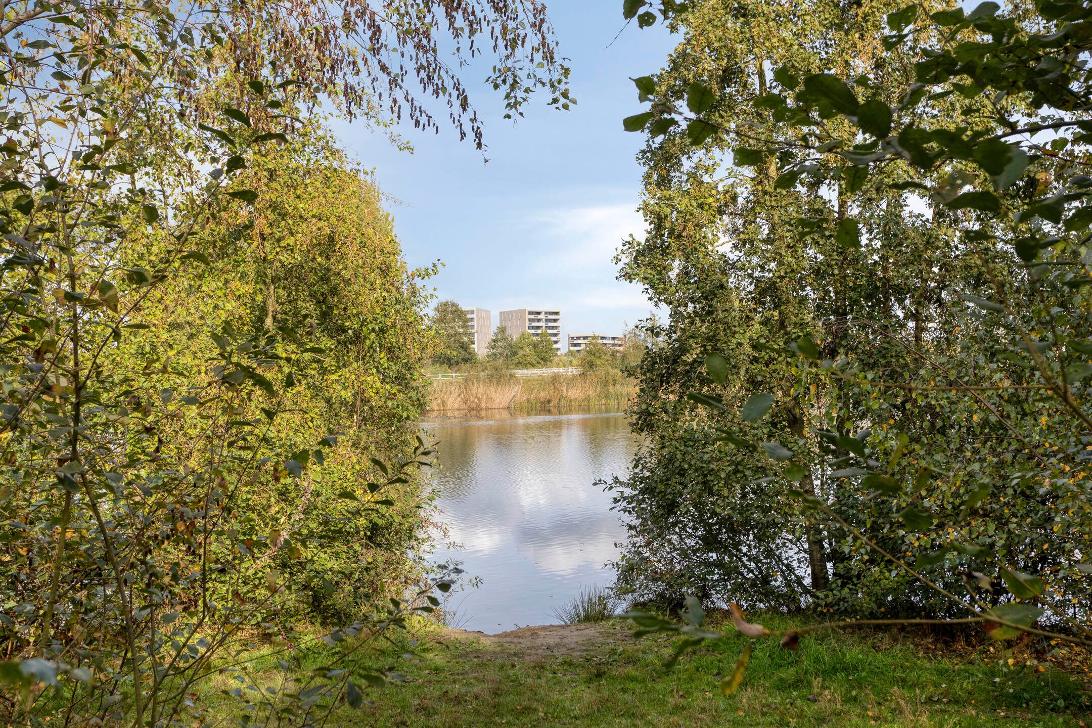 Photo 45 of Waterfront 465