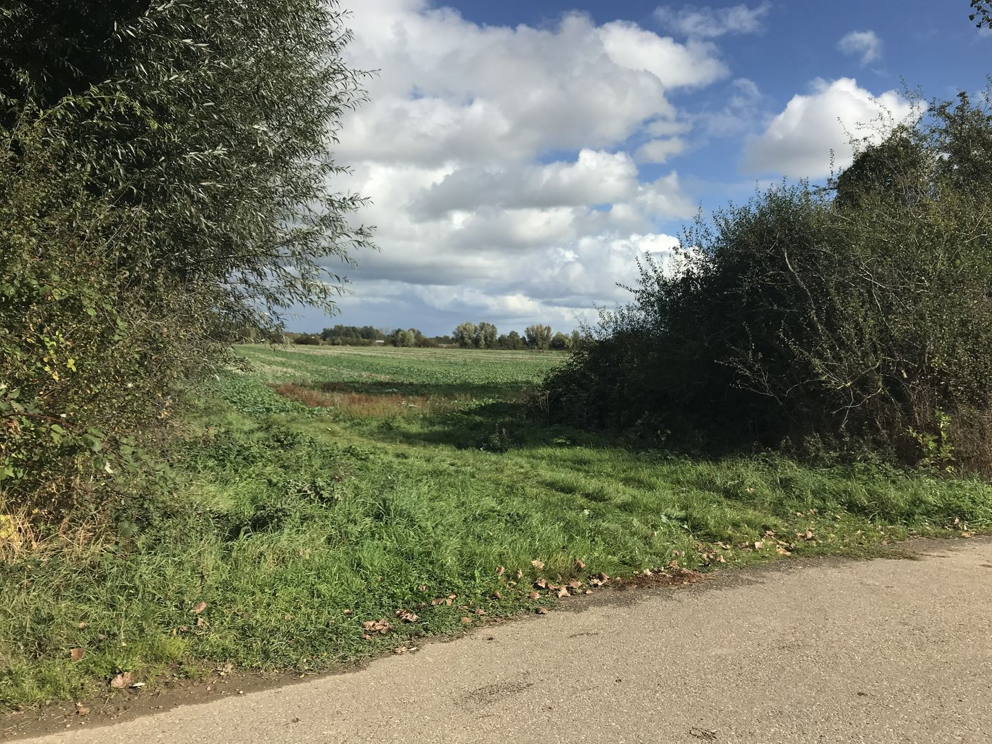 Bekijk foto 4 van Polderweg