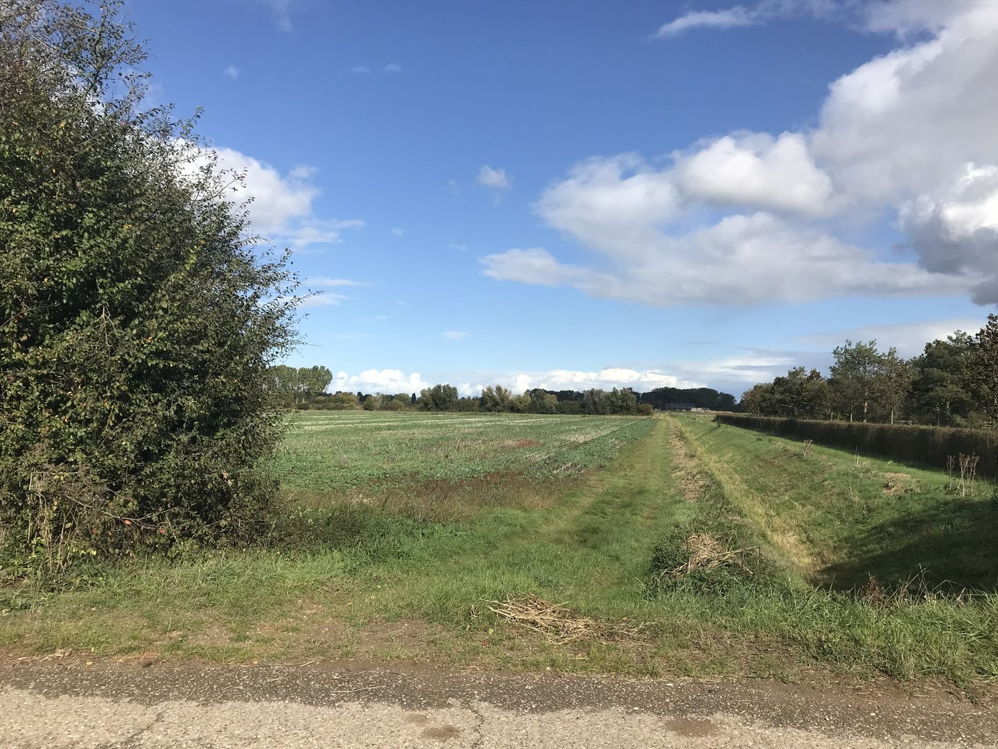 Bekijk foto 5 van Polderweg