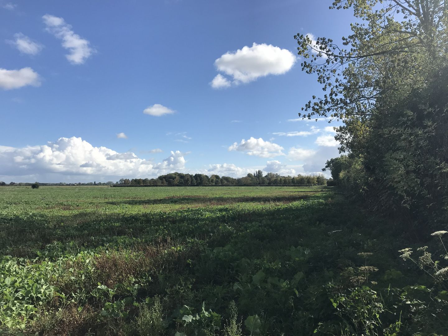 Bekijk foto 3 van Polderweg