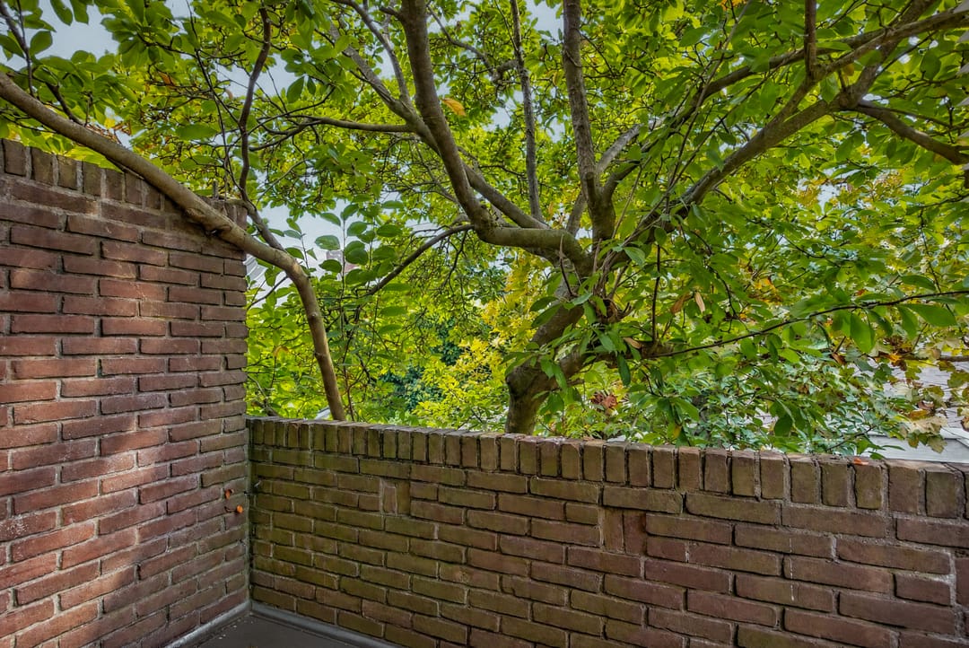 Photo 31 of Biesterweg 48