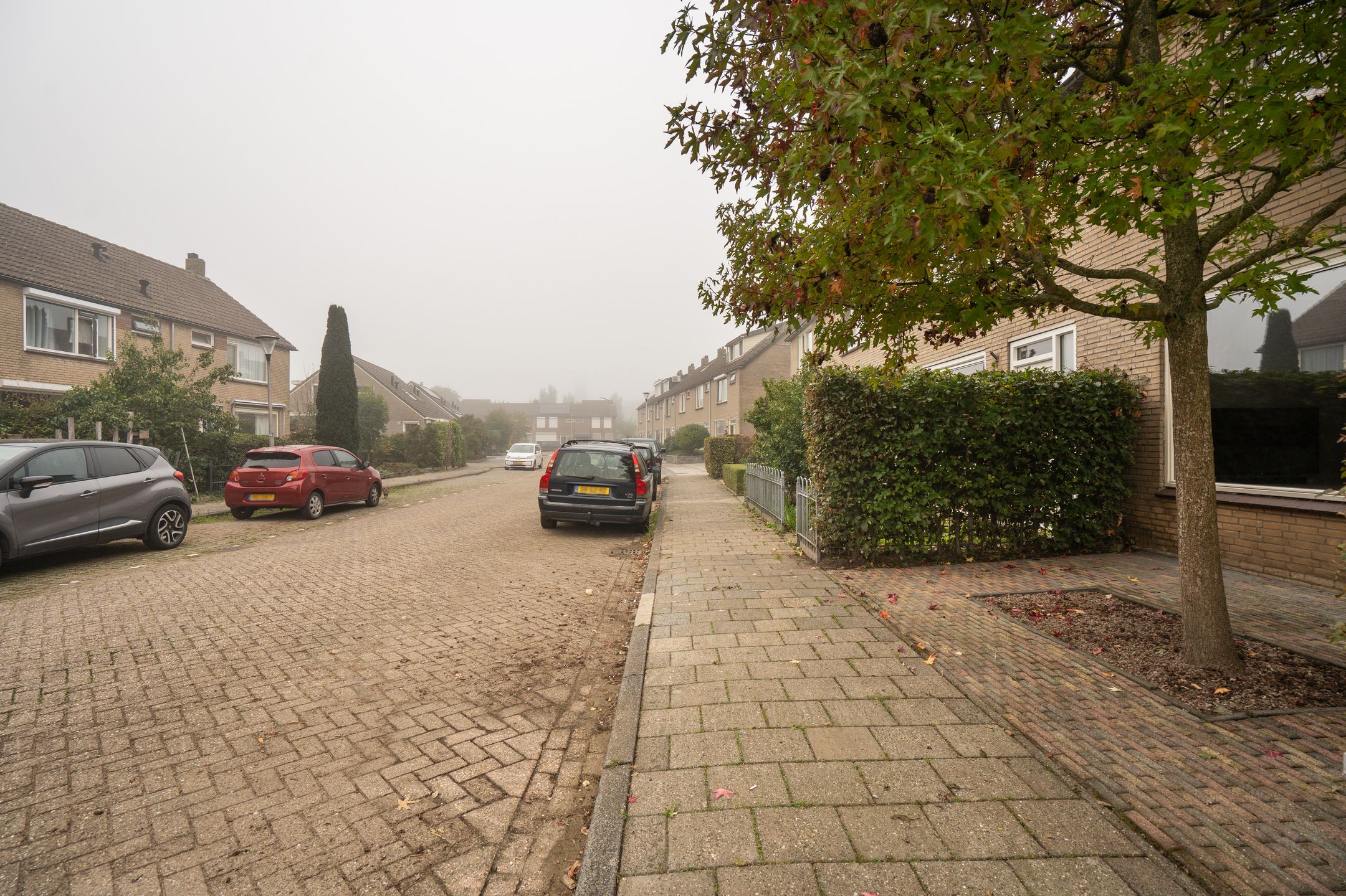 Foto 48 van Pinksterbloemstraat 12