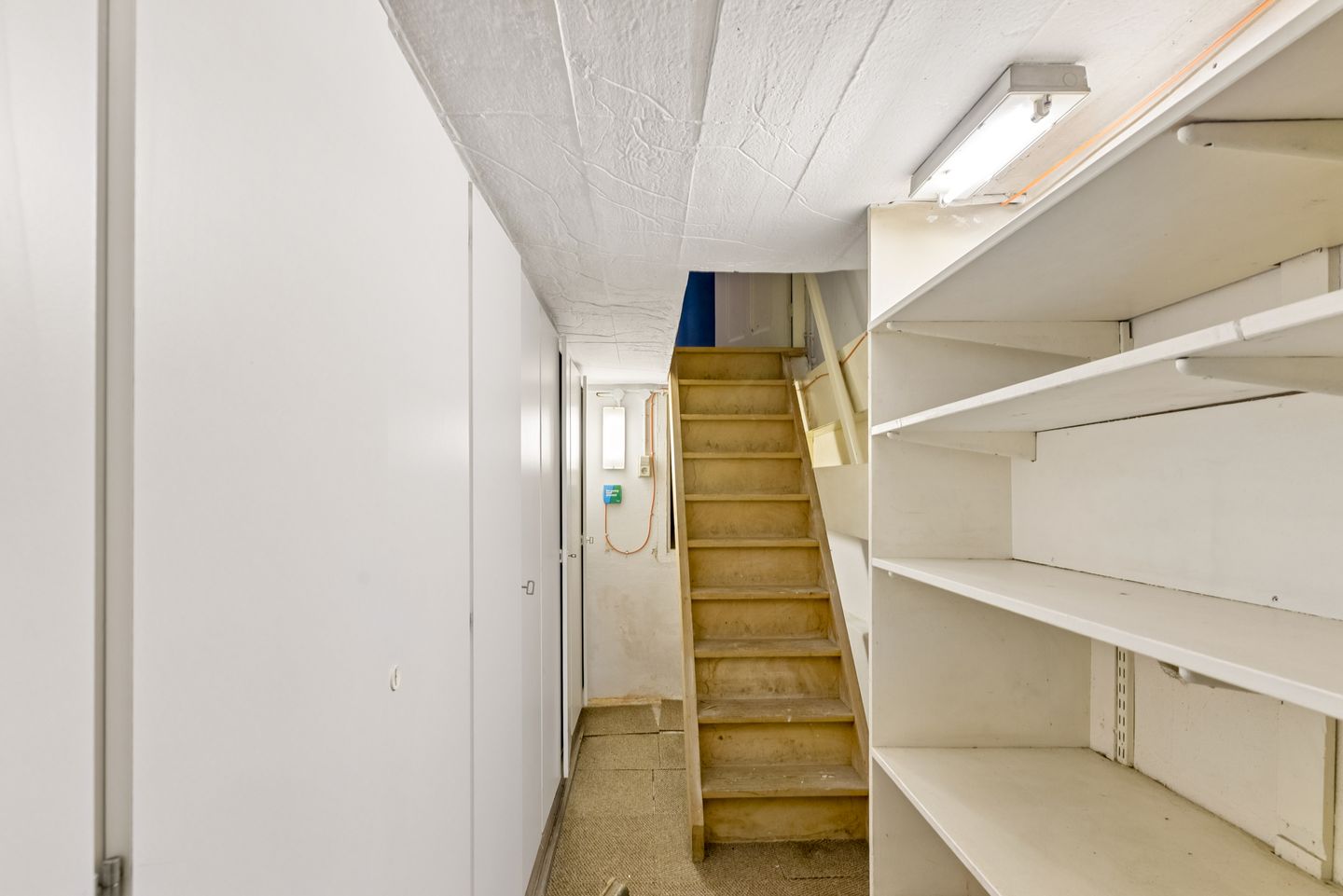 Photo 19 of Willem de Zwijgerstraat 21