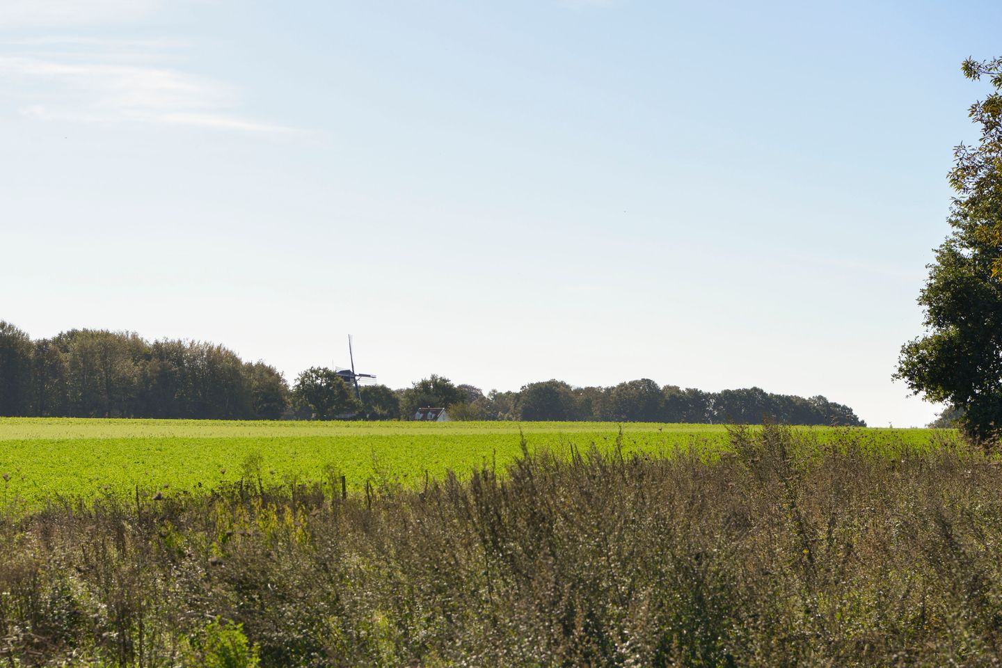Photo 19 of van Goyenlaan 112
