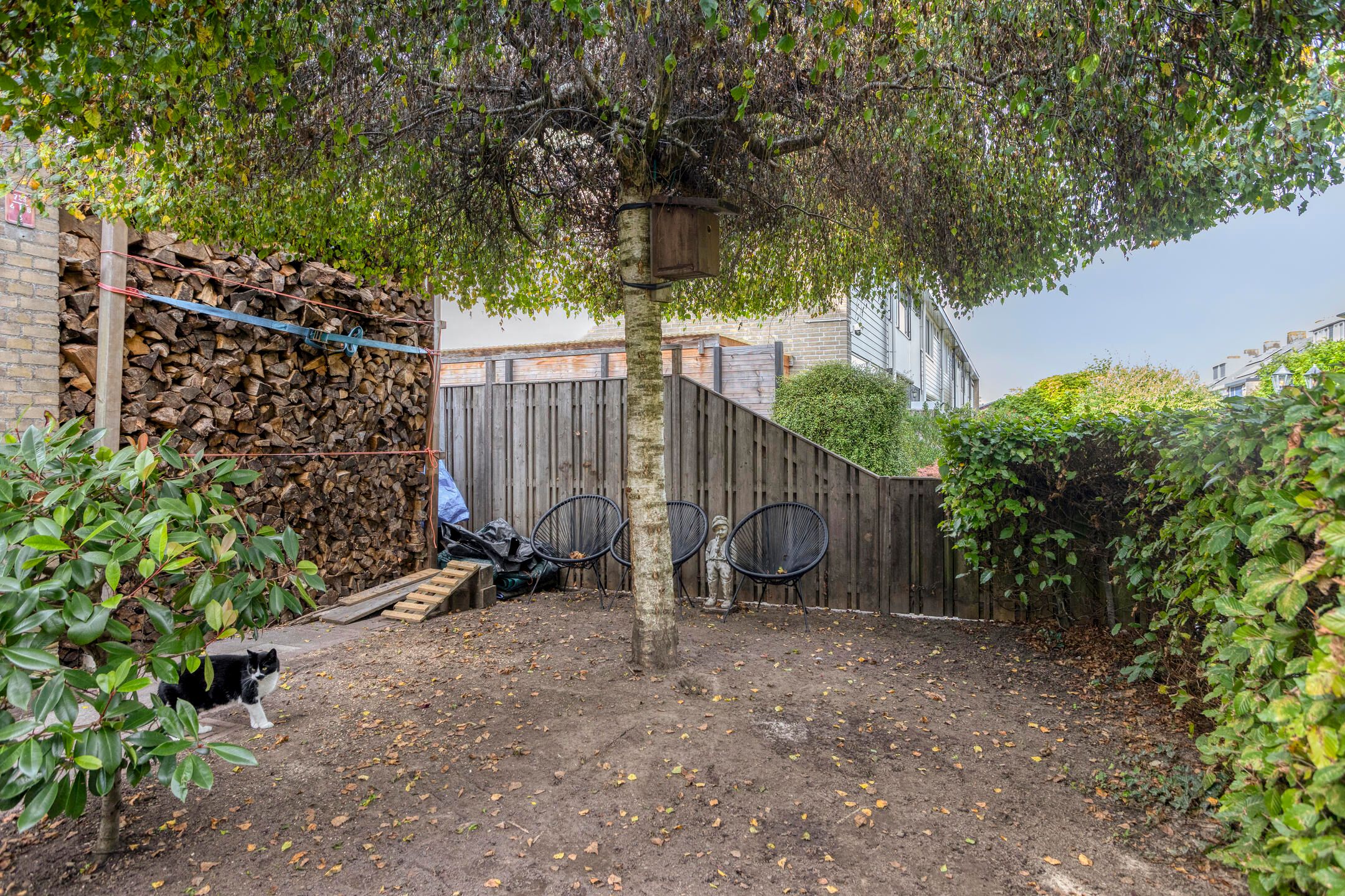 Photo 39 of De Oeverloper 55