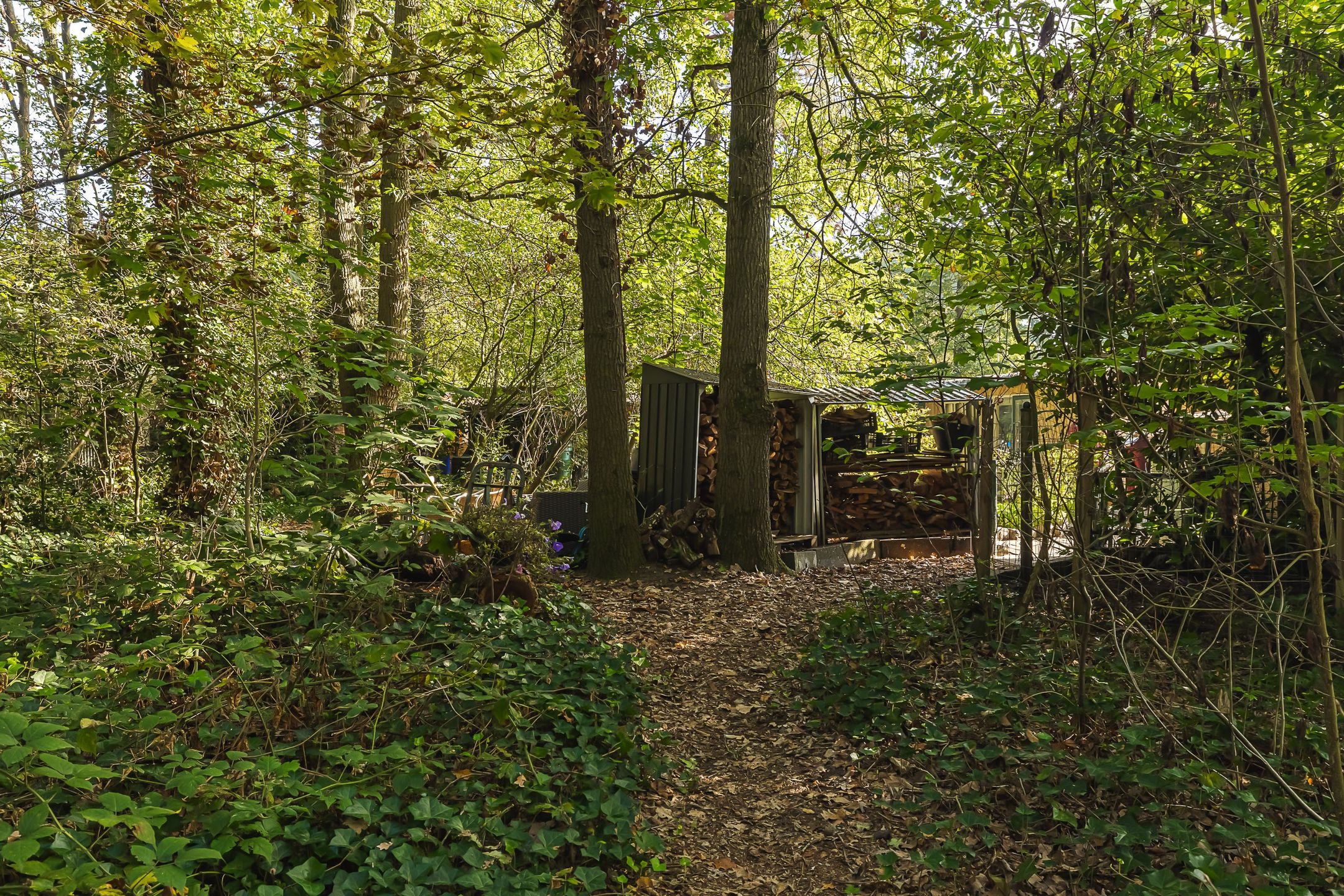 Photo 42 of Seterseweg 4-H9