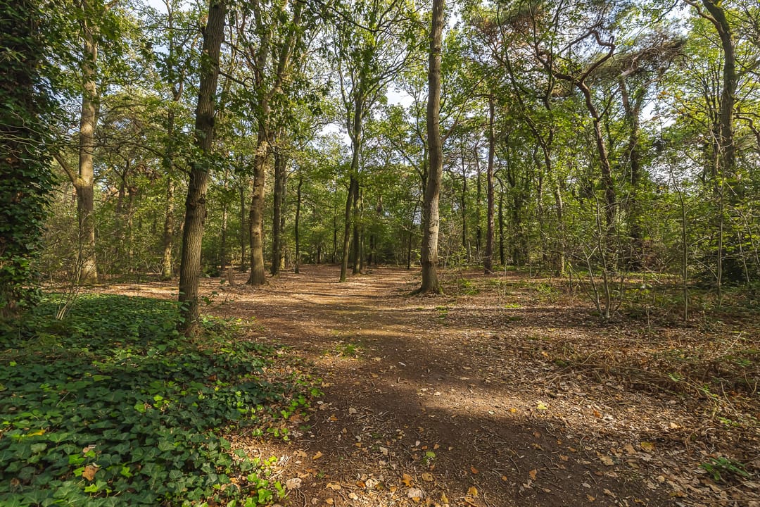 Photo 46 of Seterseweg 4-H9
