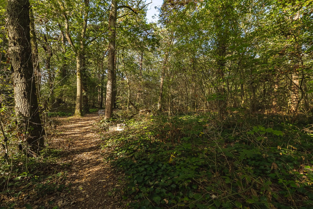 Photo 43 of Seterseweg 4-H9