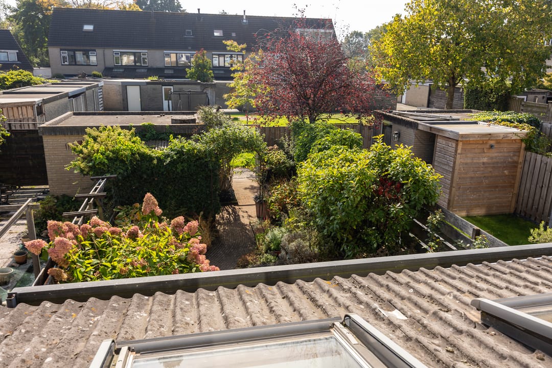 Photo 31 of Middellaken 3