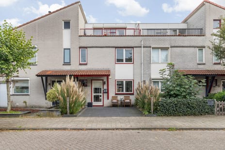 't Zand thumbnail