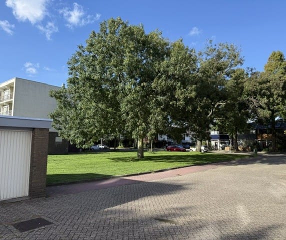 Photo 5 of Robert Kochlaan 304
