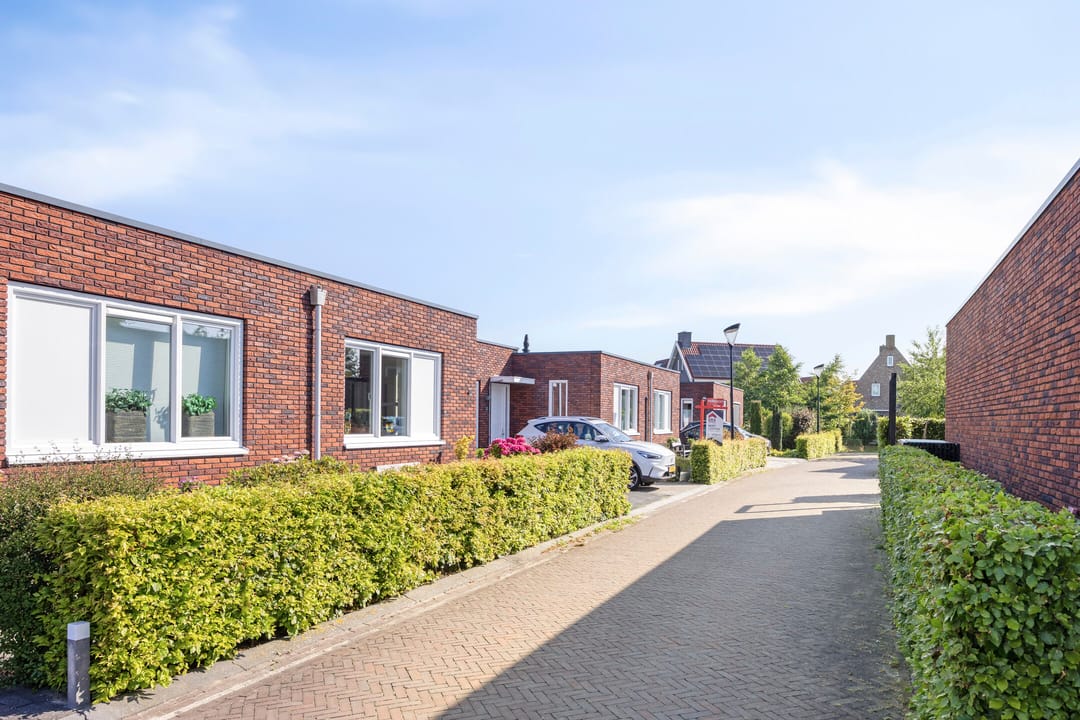 Foto 7 van Drapeniersgilde 16