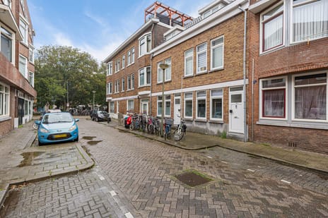 Halleystraat thumbnail