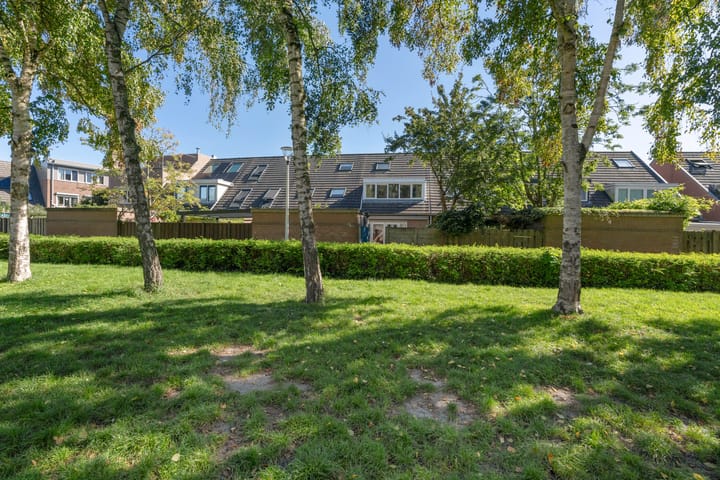 Foto 4 van Amerongseberg 9