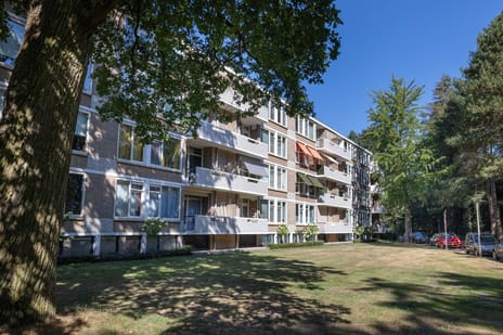 Park de Kotten thumbnail