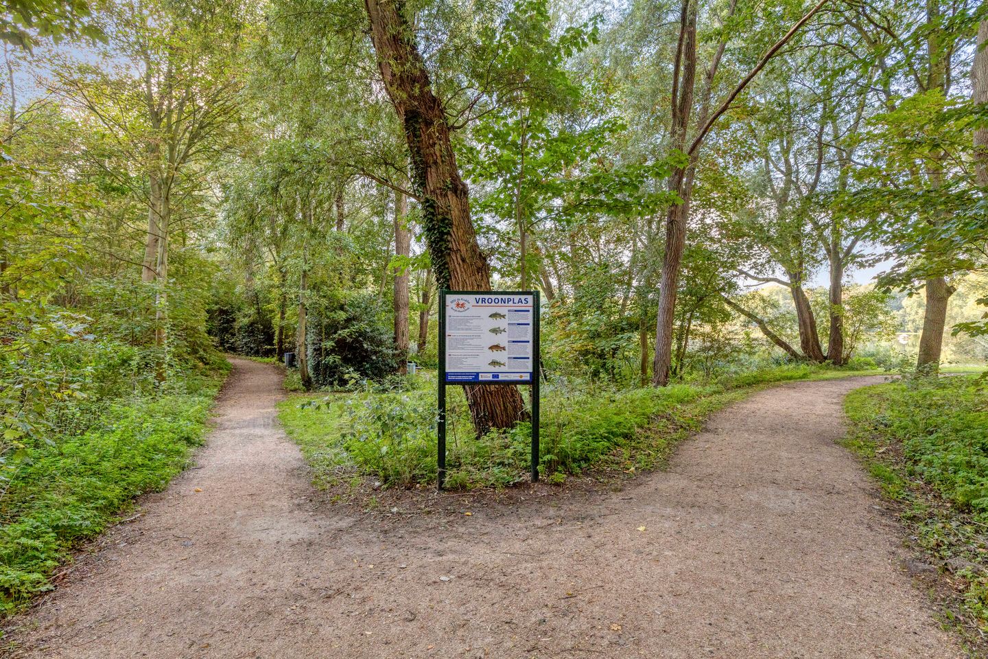 Foto 49 van Zeedahliaweg 1