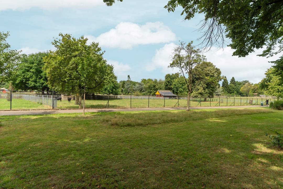 Foto 17 van Wezenlaan 185-H