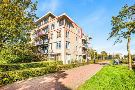 Zwanebloembocht thumbnail