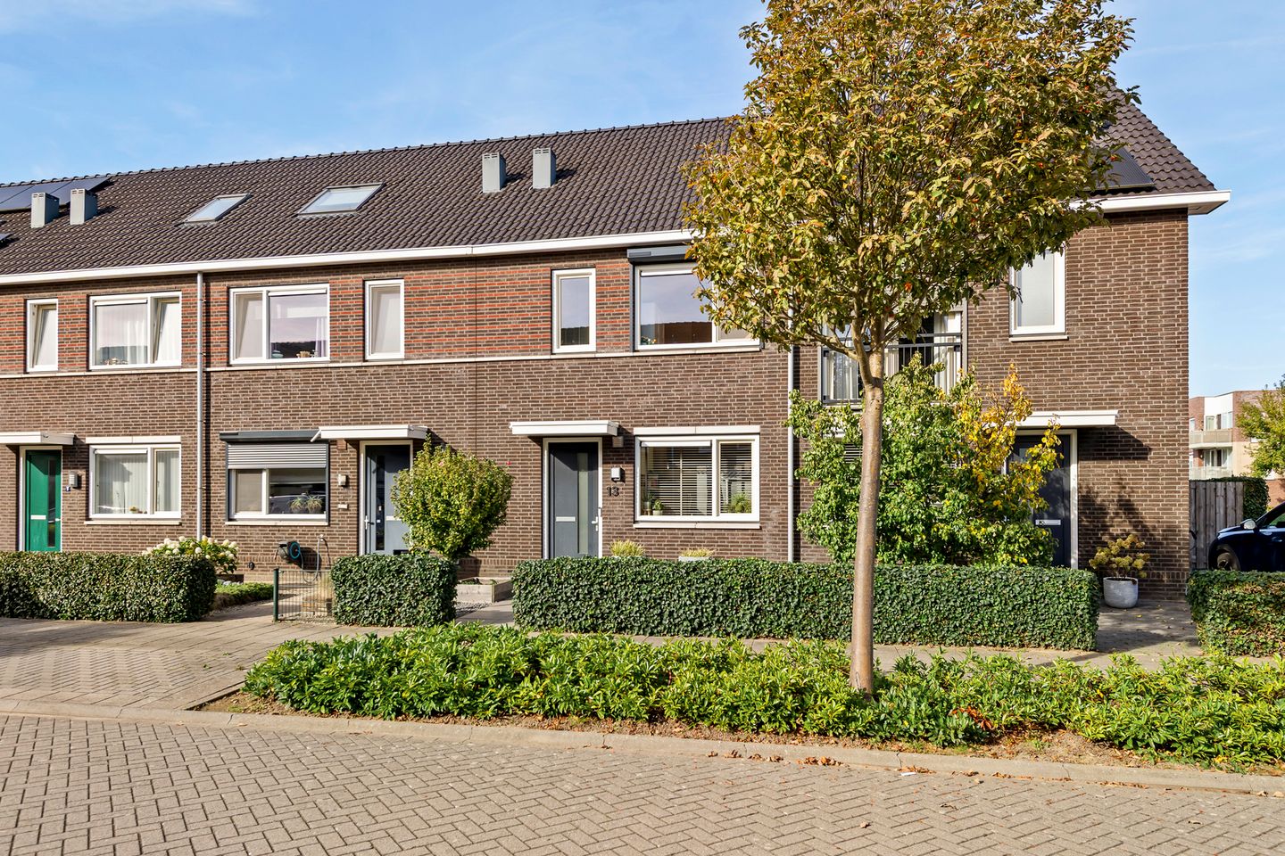 Foto 1 van Groot Dikkopje 13